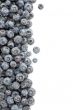 Fresh Blueberries Border