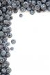 Fresh Blueberries Border