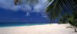 Saona island beach - Dominican republic