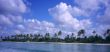 Saona island coastline -Dominican republic