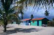 Saona island village and palm trees- Dominican republic
