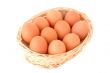 eggs in the basket