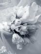 Wedding bouquet