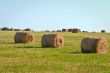 haystacks