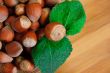 Some hazelnuts with leaves