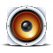 speaker detailed icon