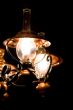 elegant lamp