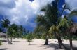 Saona island landscape - Dominican republic