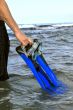 flippers