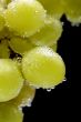 grapes in water on black macro