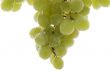 grapes in water