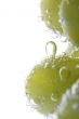 Green grapes in water macro