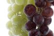 Red and green grapes in water macro