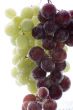 Red and green grapes in water