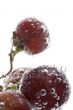 Red grapes in water macro