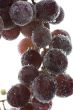 Red grapes on white background closeup