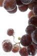 Red grapes on white background