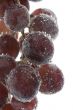 Red grapes on white