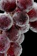 grapes on black background closeup