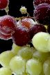grapes on black macro