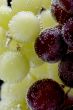 grapes with air bubbles closeup