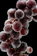 grapes with air bubbles