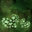 Hearts from flowers