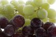 grapes with air bubbles on white