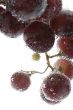 grapes with bubbles