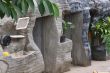 Lavatory into a tree-trunk processes