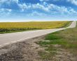 Highway and field