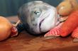 Fresh salmon