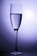champagne glasses