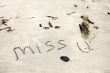 Inscription on the sand `miss you`