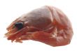 shrimp isolated on white close up