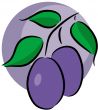 Plum logo