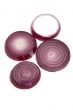 red onion on white close up