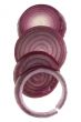 red onion on white closeup