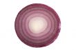 red onion on white macro