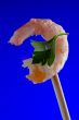 shrimp on blue background