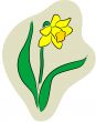 Narcissus logo