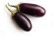 Two aubergines isolated