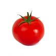 Red tomate on white background