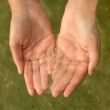 Jellyfish in women's hands