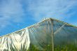 Greenhouse