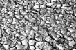 Dry soil 