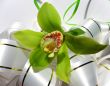  Blooming orchid