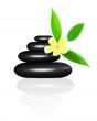Vector spa stones and frangipani