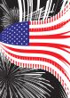 United States vector flag