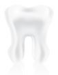 photo-realistic tooth 